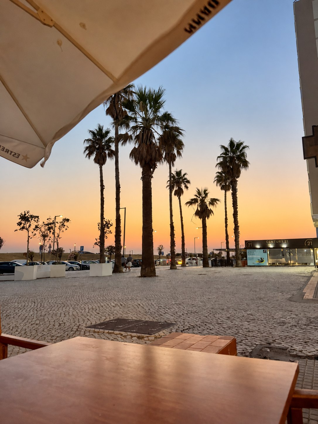Palm trees at sunset viewed from a terrace
